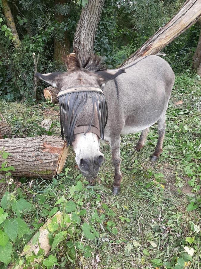 Les Deux Anes Panzió Veuves Kültér fotó