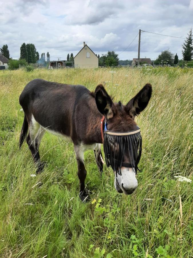Les Deux Anes Panzió Veuves Kültér fotó